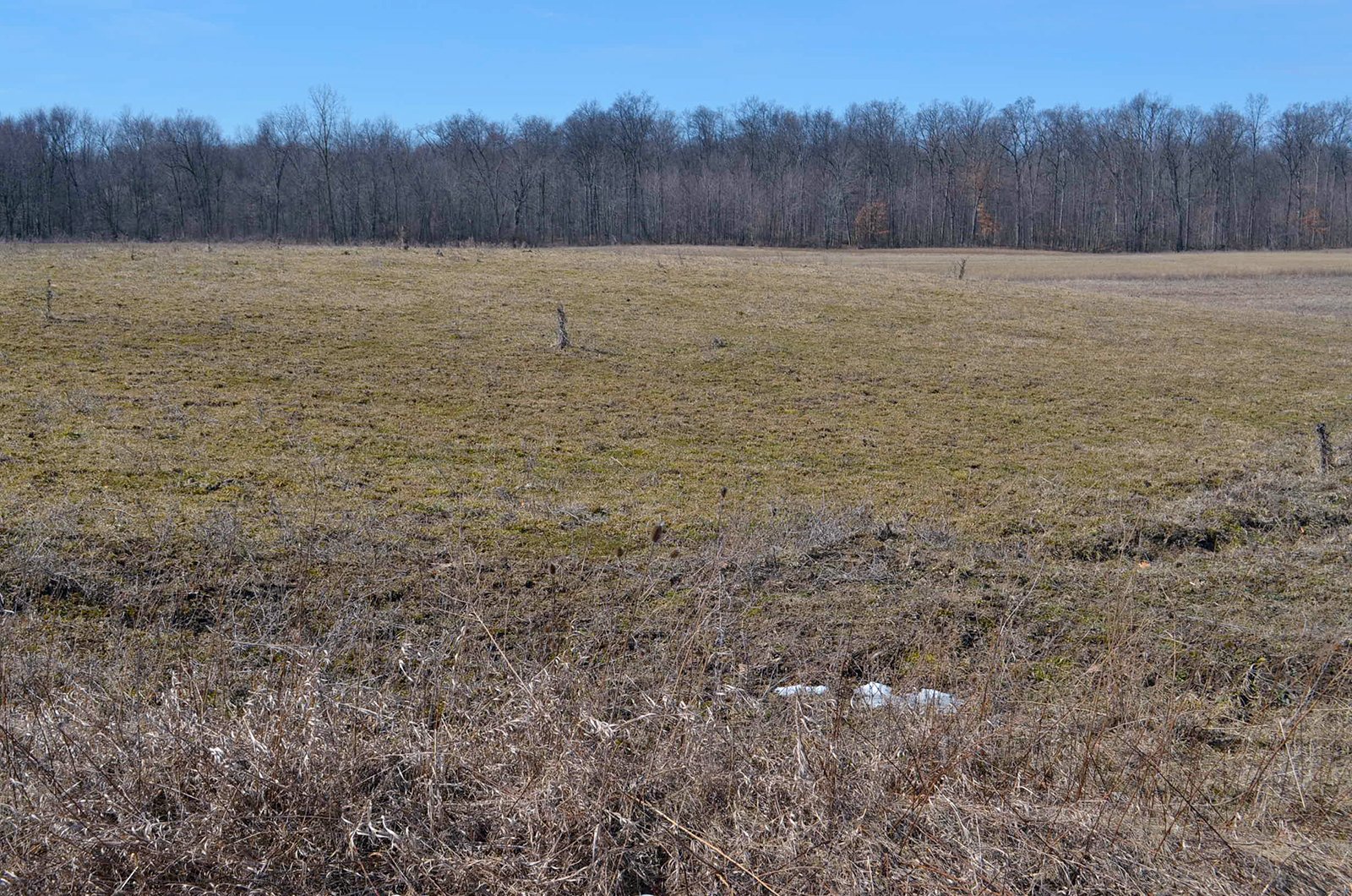 Lenawee County, Michigan Farmland - ** AUCTION HAS BEEN POSTPONED *** FARM AUCTION - 85+/- ACRES OFFERED IN 4 TRACTS IN LENAWEE COUNTY, MICHIGAN