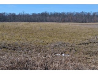 Lenawee County, Michigan Farmland - ** AUCTION HAS BEEN POSTPONED *** FARM AUCTION - 85+/- ACRES OFFERED IN 4 TRACTS IN LENAWEE COUNTY, MICHIGAN