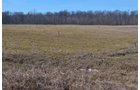 Lenawee County, Michigan Farmland - ** AUCTION HAS BEEN POSTPONED *** FARM AUCTION - 85+/- ACRES OFFERED IN 4 TRACTS IN LENAWEE COUNTY, MICHIGAN