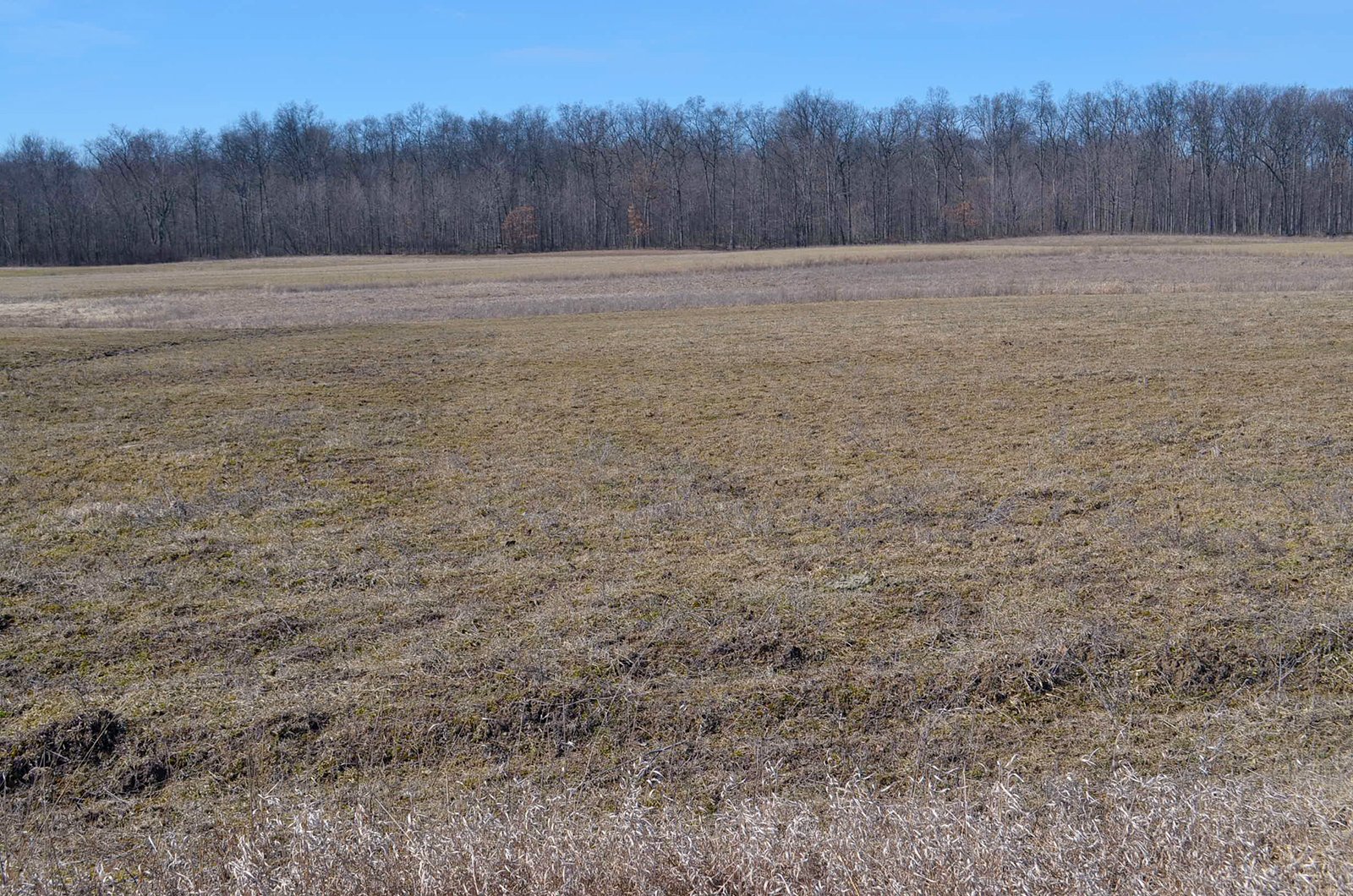 Lenawee County, Michigan Farmland - ** AUCTION HAS BEEN POSTPONED *** FARM AUCTION - 85+/- ACRES OFFERED IN 4 TRACTS IN LENAWEE COUNTY, MICHIGAN