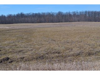 Lenawee County, Michigan Farmland - ** AUCTION HAS BEEN POSTPONED *** FARM AUCTION - 85+/- ACRES OFFERED IN 4 TRACTS IN LENAWEE COUNTY, MICHIGAN