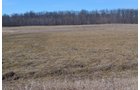 Lenawee County, Michigan Farmland - ** AUCTION HAS BEEN POSTPONED *** FARM AUCTION - 85+/- ACRES OFFERED IN 4 TRACTS IN LENAWEE COUNTY, MICHIGAN