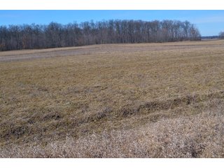 Lenawee County, Michigan Farmland - ** AUCTION HAS BEEN POSTPONED *** FARM AUCTION - 85+/- ACRES OFFERED IN 4 TRACTS IN LENAWEE COUNTY, MICHIGAN