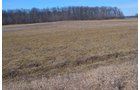 Lenawee County, Michigan Farmland - ** AUCTION HAS BEEN POSTPONED *** FARM AUCTION - 85+/- ACRES OFFERED IN 4 TRACTS IN LENAWEE COUNTY, MICHIGAN
