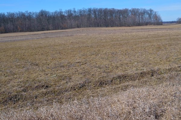 ** AUCTION HAS BEEN POSTPONED *** FARM AUCTION - 85+/- ACRES OFFERED IN 4 TRACTS IN LENAWEE COUNTY, MICHIGAN