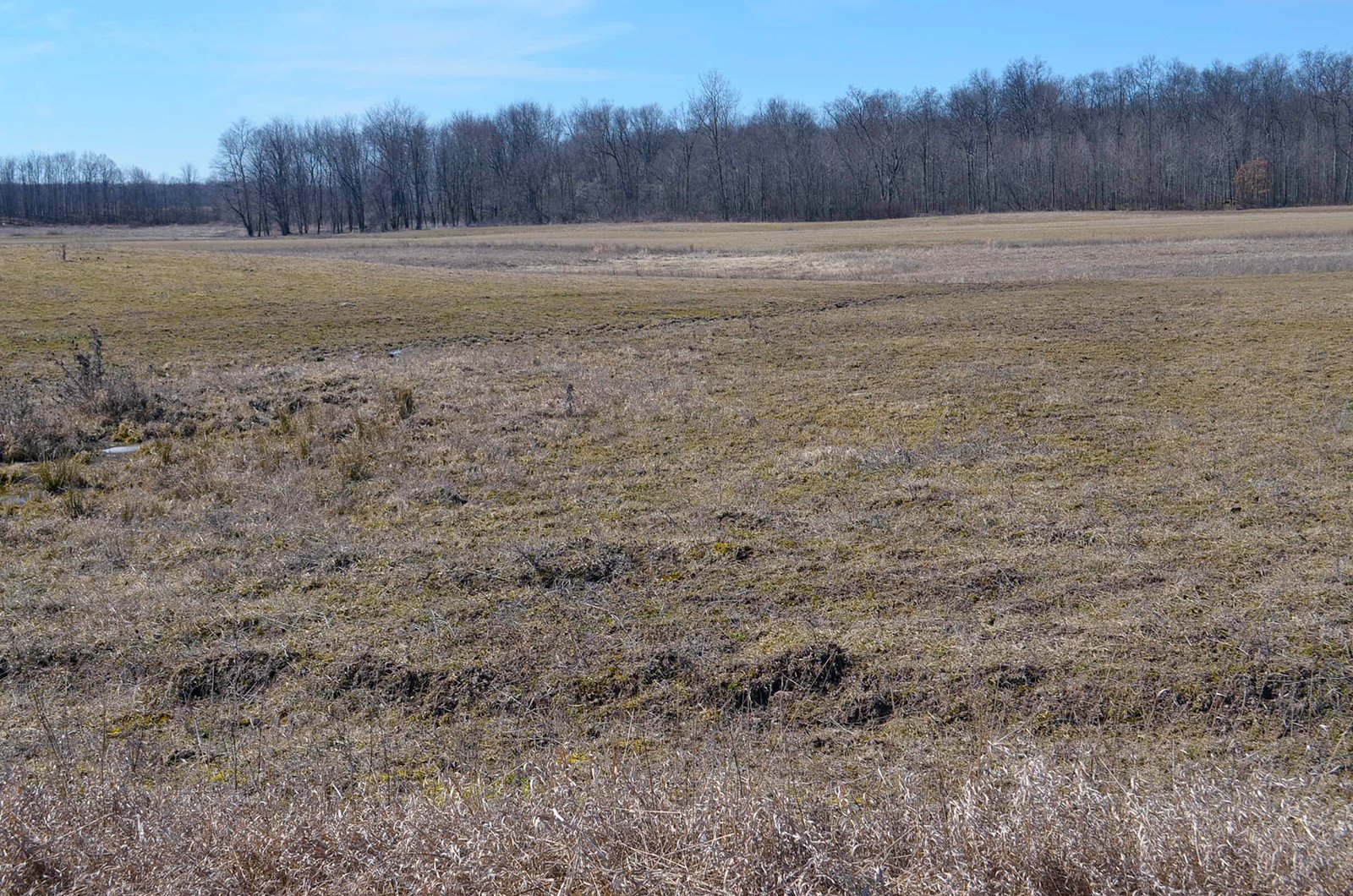 Lenawee County, Michigan Farmland - ** AUCTION HAS BEEN POSTPONED *** FARM AUCTION - 85+/- ACRES OFFERED IN 4 TRACTS IN LENAWEE COUNTY, MICHIGAN