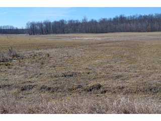 Lenawee County, Michigan Farmland - ** AUCTION HAS BEEN POSTPONED *** FARM AUCTION - 85+/- ACRES OFFERED IN 4 TRACTS IN LENAWEE COUNTY, MICHIGAN