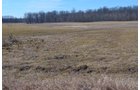 Lenawee County, Michigan Farmland - ** AUCTION HAS BEEN POSTPONED *** FARM AUCTION - 85+/- ACRES OFFERED IN 4 TRACTS IN LENAWEE COUNTY, MICHIGAN