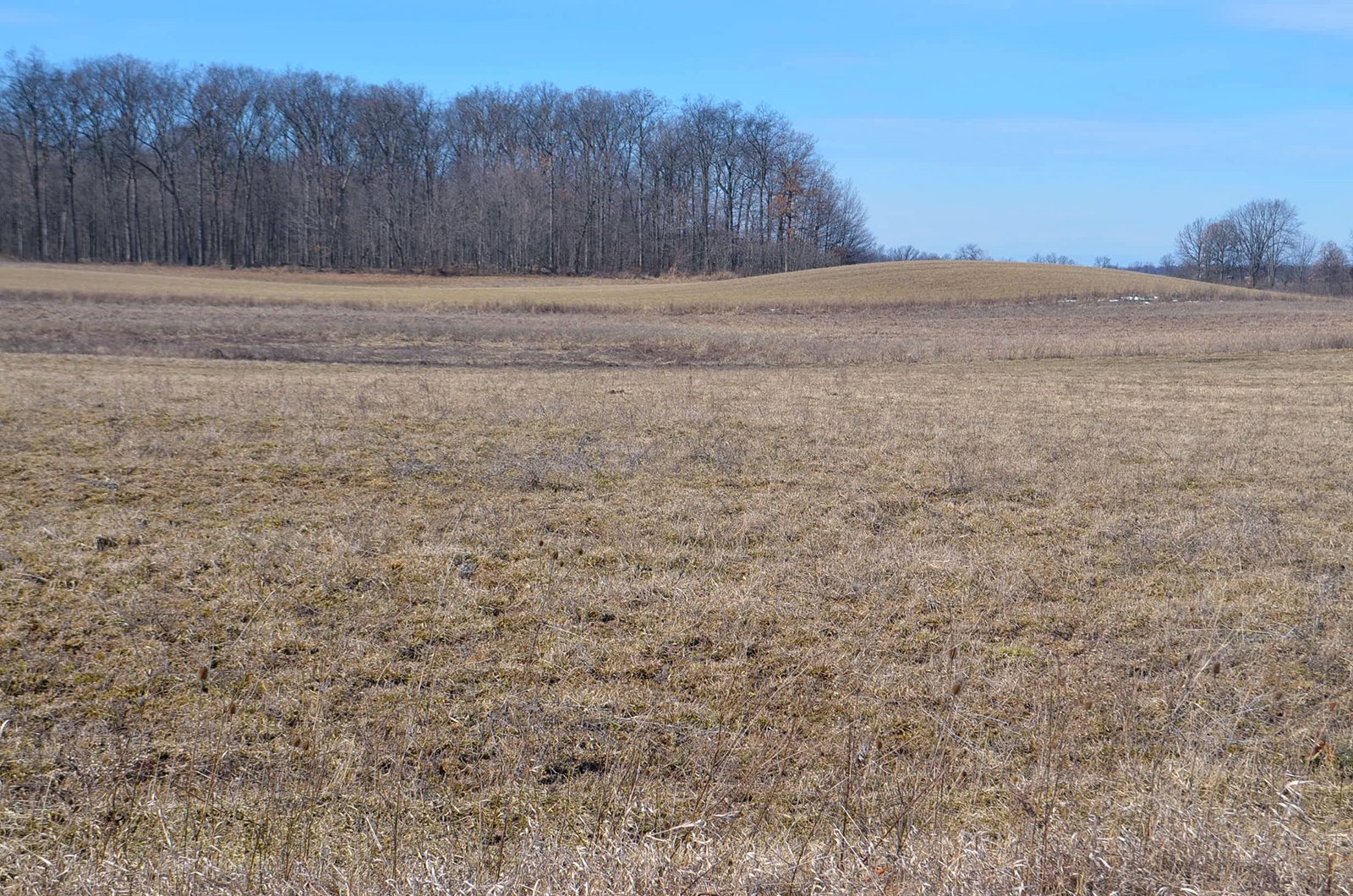 Lenawee County, Michigan Farmland - ** AUCTION HAS BEEN POSTPONED *** FARM AUCTION - 85+/- ACRES OFFERED IN 4 TRACTS IN LENAWEE COUNTY, MICHIGAN