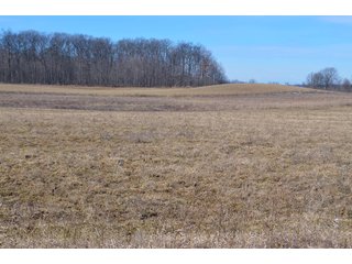 Lenawee County, Michigan Farmland - ** AUCTION HAS BEEN POSTPONED *** FARM AUCTION - 85+/- ACRES OFFERED IN 4 TRACTS IN LENAWEE COUNTY, MICHIGAN