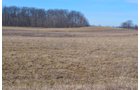 Lenawee County, Michigan Farmland - ** AUCTION HAS BEEN POSTPONED *** FARM AUCTION - 85+/- ACRES OFFERED IN 4 TRACTS IN LENAWEE COUNTY, MICHIGAN