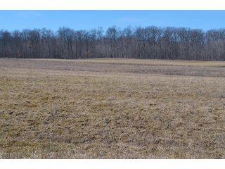Lenawee County, Michigan Farmland - ** AUCTION HAS BEEN POSTPONED *** FARM AUCTION - 85+/- ACRES OFFERED IN 4 TRACTS IN LENAWEE COUNTY, MICHIGAN