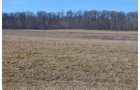 Lenawee County, Michigan Farmland - ** AUCTION HAS BEEN POSTPONED *** FARM AUCTION - 85+/- ACRES OFFERED IN 4 TRACTS IN LENAWEE COUNTY, MICHIGAN