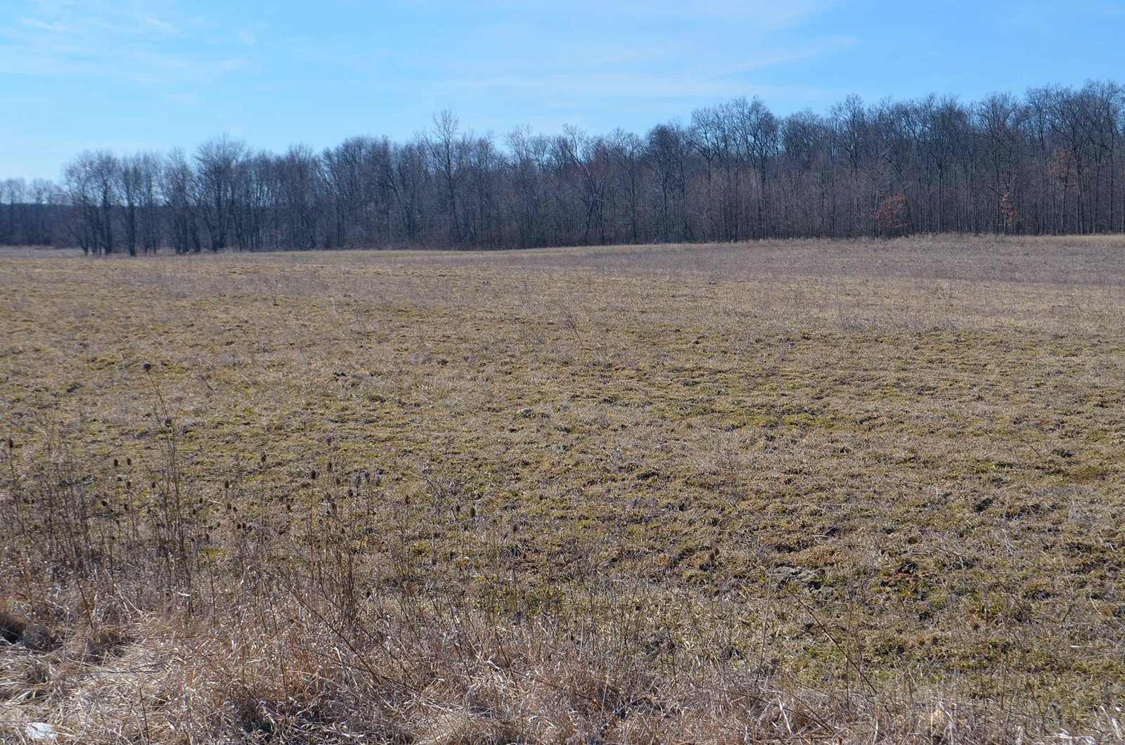Lenawee County, Michigan Farmland - ** AUCTION HAS BEEN POSTPONED *** FARM AUCTION - 85+/- ACRES OFFERED IN 4 TRACTS IN LENAWEE COUNTY, MICHIGAN