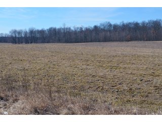 Lenawee County, Michigan Farmland - ** AUCTION HAS BEEN POSTPONED *** FARM AUCTION - 85+/- ACRES OFFERED IN 4 TRACTS IN LENAWEE COUNTY, MICHIGAN