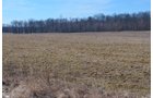 Lenawee County, Michigan Farmland - ** AUCTION HAS BEEN POSTPONED *** FARM AUCTION - 85+/- ACRES OFFERED IN 4 TRACTS IN LENAWEE COUNTY, MICHIGAN