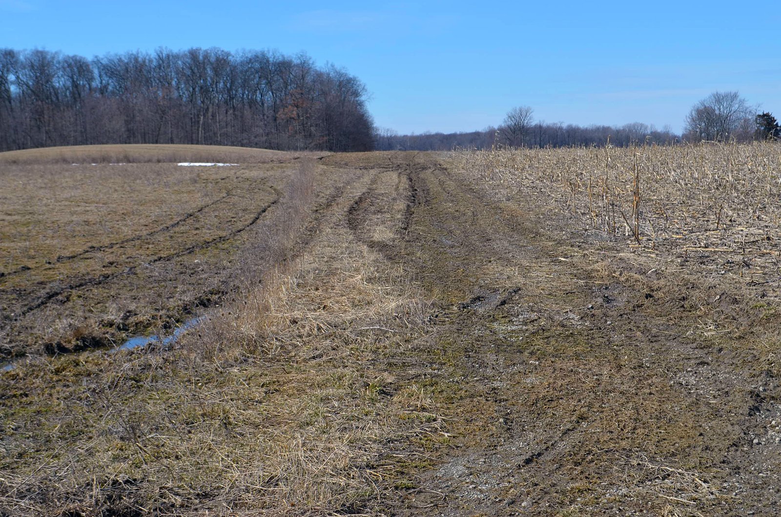 Lenawee County, Michigan Farmland - ** AUCTION HAS BEEN POSTPONED *** FARM AUCTION - 85+/- ACRES OFFERED IN 4 TRACTS IN LENAWEE COUNTY, MICHIGAN