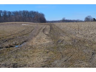 Lenawee County, Michigan Farmland - ** AUCTION HAS BEEN POSTPONED *** FARM AUCTION - 85+/- ACRES OFFERED IN 4 TRACTS IN LENAWEE COUNTY, MICHIGAN
