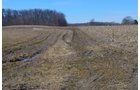 Lenawee County, Michigan Farmland - ** AUCTION HAS BEEN POSTPONED *** FARM AUCTION - 85+/- ACRES OFFERED IN 4 TRACTS IN LENAWEE COUNTY, MICHIGAN
