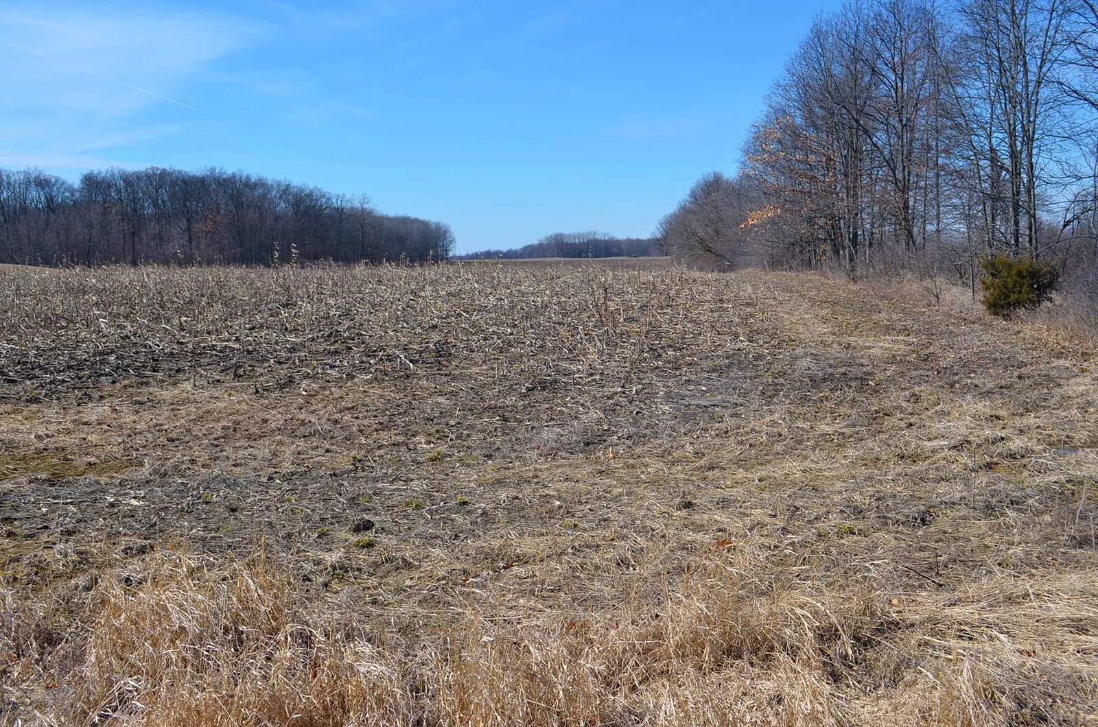 Lenawee County, Michigan Farmland - ** AUCTION HAS BEEN POSTPONED *** FARM AUCTION - 85+/- ACRES OFFERED IN 4 TRACTS IN LENAWEE COUNTY, MICHIGAN