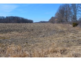 Lenawee County, Michigan Farmland - ** AUCTION HAS BEEN POSTPONED *** FARM AUCTION - 85+/- ACRES OFFERED IN 4 TRACTS IN LENAWEE COUNTY, MICHIGAN