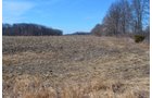Lenawee County, Michigan Farmland - ** AUCTION HAS BEEN POSTPONED *** FARM AUCTION - 85+/- ACRES OFFERED IN 4 TRACTS IN LENAWEE COUNTY, MICHIGAN