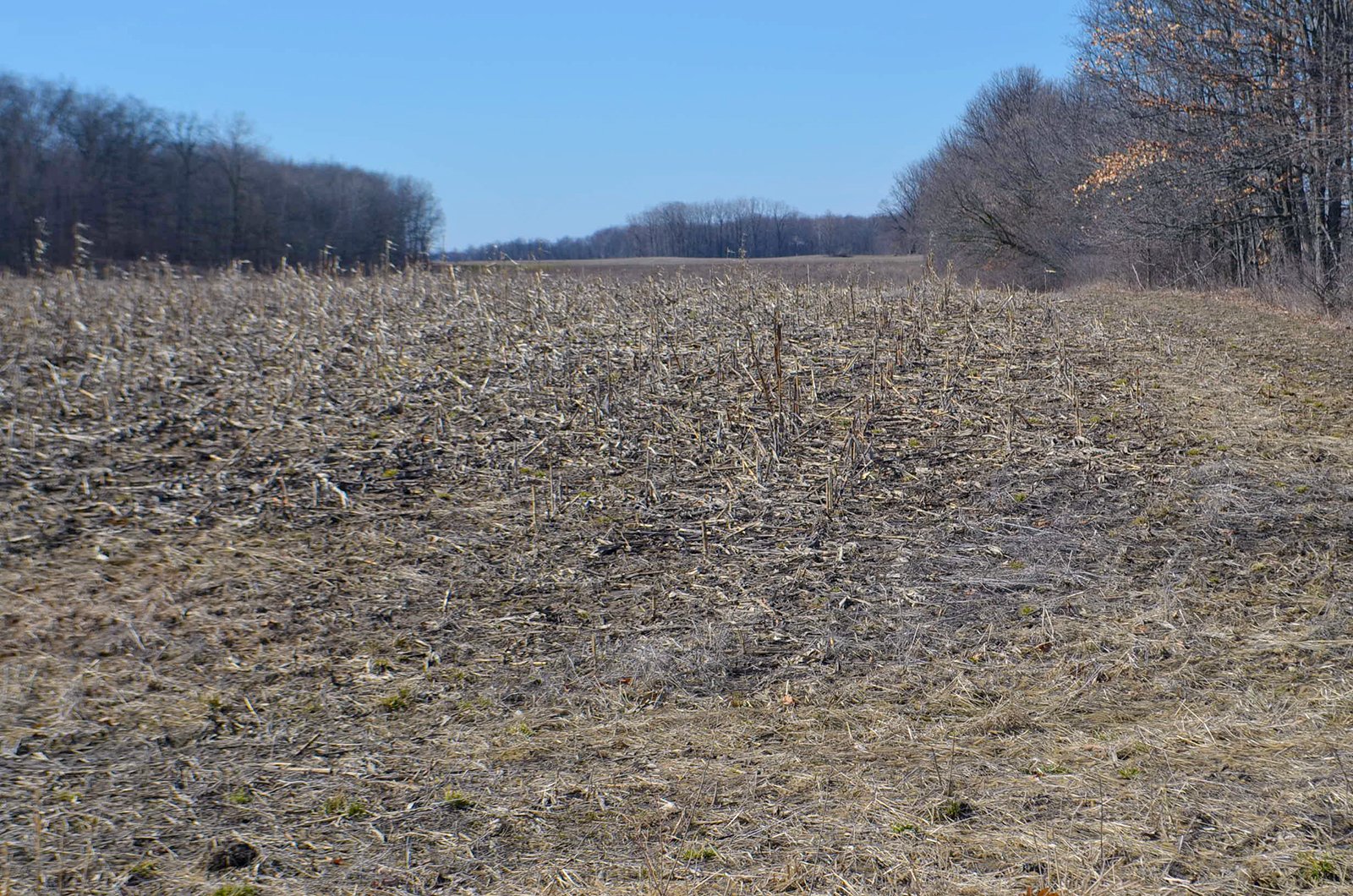 Lenawee County, Michigan Farmland - ** AUCTION HAS BEEN POSTPONED *** FARM AUCTION - 85+/- ACRES OFFERED IN 4 TRACTS IN LENAWEE COUNTY, MICHIGAN
