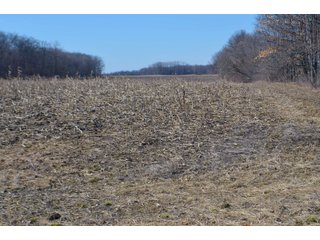 Lenawee County, Michigan Farmland - ** AUCTION HAS BEEN POSTPONED *** FARM AUCTION - 85+/- ACRES OFFERED IN 4 TRACTS IN LENAWEE COUNTY, MICHIGAN