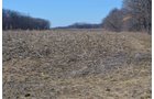 Lenawee County, Michigan Farmland - ** AUCTION HAS BEEN POSTPONED *** FARM AUCTION - 85+/- ACRES OFFERED IN 4 TRACTS IN LENAWEE COUNTY, MICHIGAN