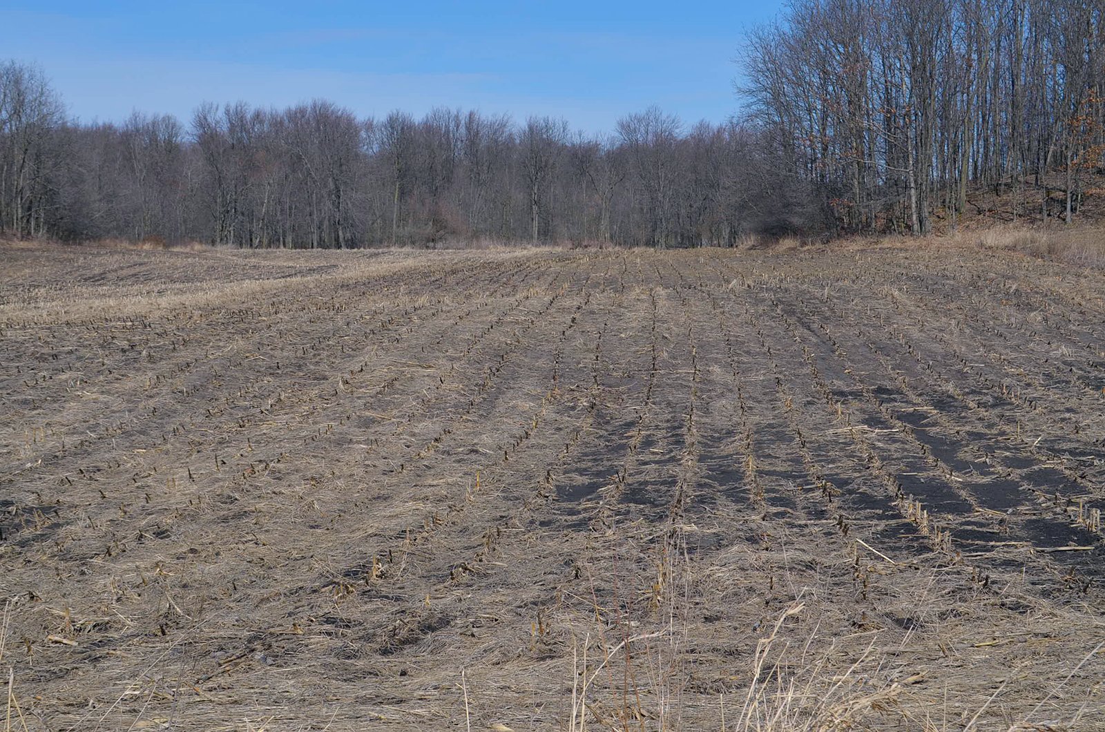 Lenawee County, Michigan Farmland - ** AUCTION HAS BEEN POSTPONED *** FARM AUCTION - 85+/- ACRES OFFERED IN 4 TRACTS IN LENAWEE COUNTY, MICHIGAN