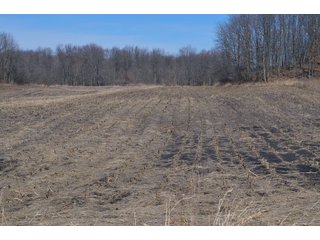 Lenawee County, Michigan Farmland - ** AUCTION HAS BEEN POSTPONED *** FARM AUCTION - 85+/- ACRES OFFERED IN 4 TRACTS IN LENAWEE COUNTY, MICHIGAN