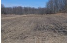 Lenawee County, Michigan Farmland - ** AUCTION HAS BEEN POSTPONED *** FARM AUCTION - 85+/- ACRES OFFERED IN 4 TRACTS IN LENAWEE COUNTY, MICHIGAN