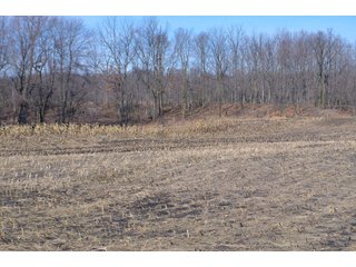 Lenawee County, Michigan Farmland - ** AUCTION HAS BEEN POSTPONED *** FARM AUCTION - 85+/- ACRES OFFERED IN 4 TRACTS IN LENAWEE COUNTY, MICHIGAN