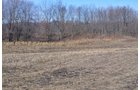 Lenawee County, Michigan Farmland - ** AUCTION HAS BEEN POSTPONED *** FARM AUCTION - 85+/- ACRES OFFERED IN 4 TRACTS IN LENAWEE COUNTY, MICHIGAN