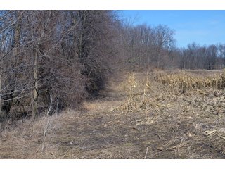 Lenawee County, Michigan Farmland - ** AUCTION HAS BEEN POSTPONED *** FARM AUCTION - 85+/- ACRES OFFERED IN 4 TRACTS IN LENAWEE COUNTY, MICHIGAN
