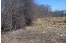 Lenawee County, Michigan Farmland - ** AUCTION HAS BEEN POSTPONED *** FARM AUCTION - 85+/- ACRES OFFERED IN 4 TRACTS IN LENAWEE COUNTY, MICHIGAN