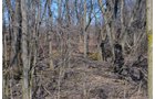 Lenawee County, Michigan Farmland - ** AUCTION HAS BEEN POSTPONED *** FARM AUCTION - 85+/- ACRES OFFERED IN 4 TRACTS IN LENAWEE COUNTY, MICHIGAN