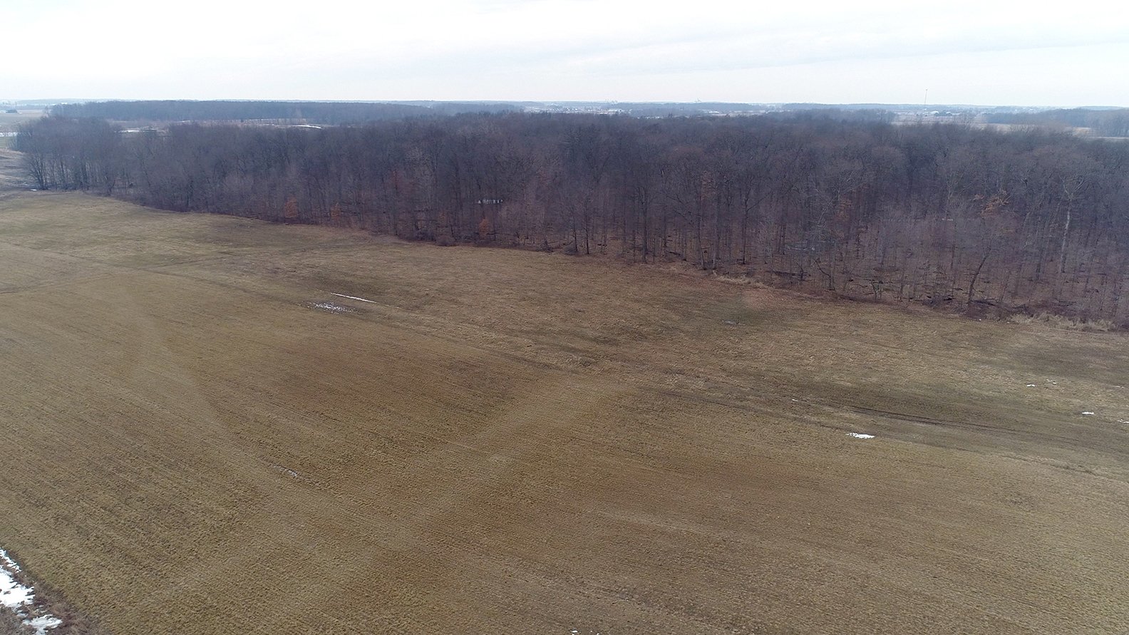 Property photo 30 - ** AUCTION HAS BEEN POSTPONED *** FARM AUCTION - 85+/- ACRES OFFERED IN 4 TRACTS IN LENAWEE COUNTY, MICHIGAN
