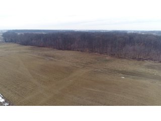 Property photo 30 - ** AUCTION HAS BEEN POSTPONED *** FARM AUCTION - 85+/- ACRES OFFERED IN 4 TRACTS IN LENAWEE COUNTY, MICHIGAN