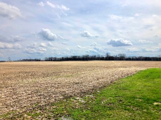Fayette County, Ohio Farmland - *** BIDDING WILL BE VIA PHONE OR INTERNET *** IMPORTANT OHIO LAND AUCTION - 516+/- ACRES OFFERED IN 9 TRACTS IN FAYETTE COUNTY, OHIO