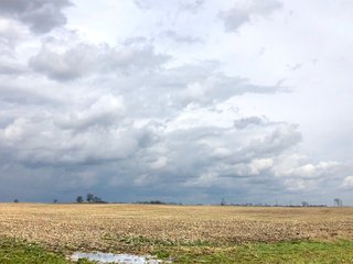 Fayette County, Ohio Farmland - *** BIDDING WILL BE VIA PHONE OR INTERNET *** IMPORTANT OHIO LAND AUCTION - 516+/- ACRES OFFERED IN 9 TRACTS IN FAYETTE COUNTY, OHIO