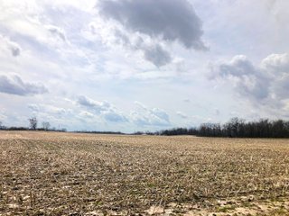 Fayette County, Ohio Farmland - *** BIDDING WILL BE VIA PHONE OR INTERNET *** IMPORTANT OHIO LAND AUCTION - 516+/- ACRES OFFERED IN 9 TRACTS IN FAYETTE COUNTY, OHIO