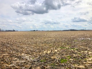 Fayette County, Ohio Farmland - *** BIDDING WILL BE VIA PHONE OR INTERNET *** IMPORTANT OHIO LAND AUCTION - 516+/- ACRES OFFERED IN 9 TRACTS IN FAYETTE COUNTY, OHIO