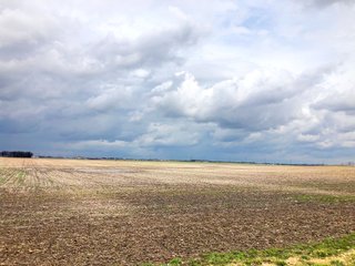 Fayette County, Ohio Farmland - *** BIDDING WILL BE VIA PHONE OR INTERNET *** IMPORTANT OHIO LAND AUCTION - 516+/- ACRES OFFERED IN 9 TRACTS IN FAYETTE COUNTY, OHIO