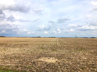 Fayette County, Ohio Farmland - *** BIDDING WILL BE VIA PHONE OR INTERNET *** IMPORTANT OHIO LAND AUCTION - 516+/- ACRES OFFERED IN 9 TRACTS IN FAYETTE COUNTY, OHIO