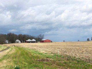 Fayette County, Ohio Farmland - *** BIDDING WILL BE VIA PHONE OR INTERNET *** IMPORTANT OHIO LAND AUCTION - 516+/- ACRES OFFERED IN 9 TRACTS IN FAYETTE COUNTY, OHIO