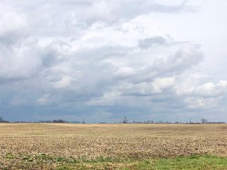 Fayette County, Ohio Farmland - *** BIDDING WILL BE VIA PHONE OR INTERNET *** IMPORTANT OHIO LAND AUCTION - 516+/- ACRES OFFERED IN 9 TRACTS IN FAYETTE COUNTY, OHIO