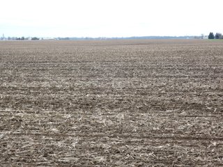 Delaware County, Indiana Farmland - IMPORTANT LAND AUCTION - 320+/- ACRES OFFERED IN 10 TRACTS IN DELAWARE COUNTY, INDIANA