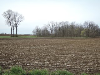 Delaware County, Indiana Farmland - IMPORTANT LAND AUCTION - 320+/- ACRES OFFERED IN 10 TRACTS IN DELAWARE COUNTY, INDIANA