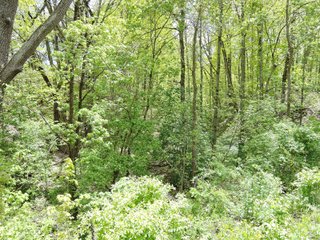 Delaware County, Indiana Farmland - IMPORTANT LAND AUCTION - 320+/- ACRES OFFERED IN 10 TRACTS IN DELAWARE COUNTY, INDIANA